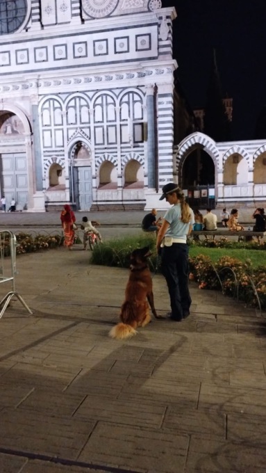 “Viola” ancora in azione in zona Fortezza: scova della droga nei cespugli