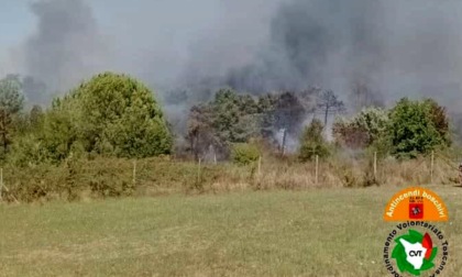 Brucia bosco a Fauglia: le fiamme vicine alle case