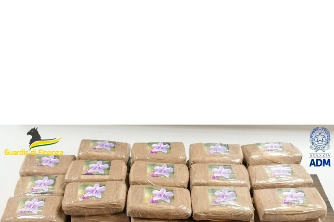 Sequestrati 50 chili di cocaina pura al porto di Livorno