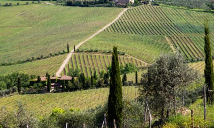 Chianti Fiorentino, che estate di turisti