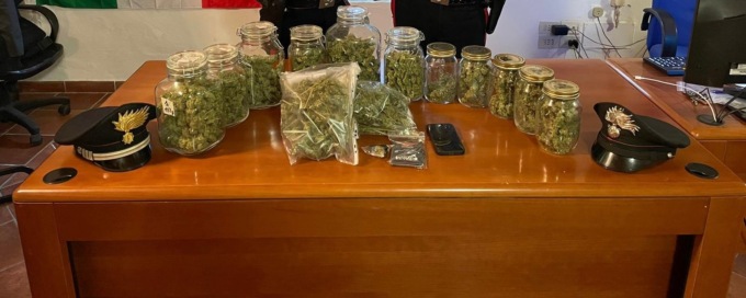 Serra professionale in casa: rinvenuta oltre un chilo di marijuana pronta per lo spaccio