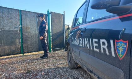 Si fa la casa abusiva (e non solo) nel "Parco della piana" a Sesto Fiorentino e viene beccato dalla Forestale