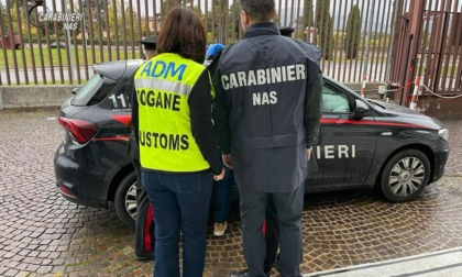 Infermiere di Pistoia sospeso per spaccio di nandrolone e peculato