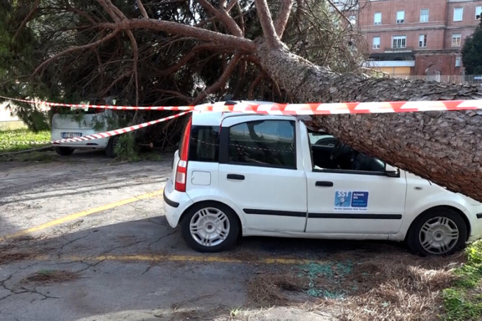 Pino caduto sull’auto dell’Asl Lucca: nessun ferito