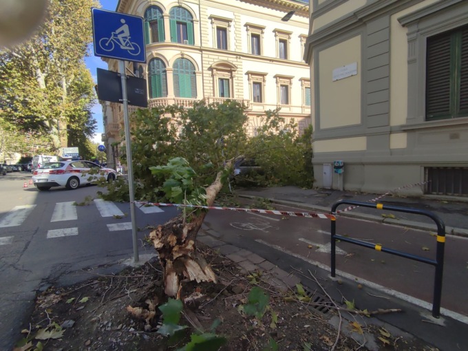 Firenze, fortissime raffiche di vento: albero si abbatte su un’auto