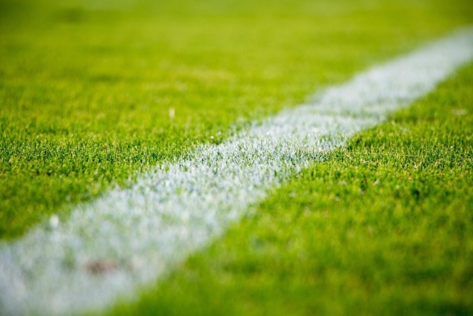 Dal giardino al campo sportivo: come scegliere l’erba sintetica perfetta