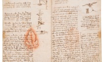 Livorno, si apre la mostra su Leonardo da Vinci: esposti 15 disegni autografi del genio toscano