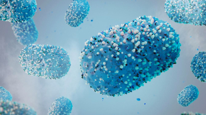 Vaiolo delle scimmie, l’intelligenza artificiale in aiuto degli anticorpi