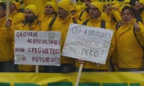 La protesta degli agricoltori in piazza a Bruxelles: "Noi vogliamo risposte concrete e interventi immediati"