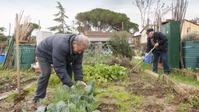 A Firenze nascono i primi cinque orti urbani
