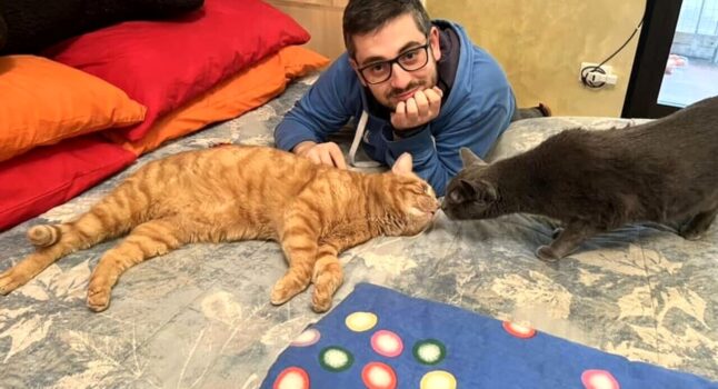 Sparito da oltre due anni, gatto Milo torna a casa. Ritrovato a Forte dei Marmi