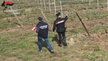 Caporalato, ospiti del centro di accoglienza, ma sfruttati nei campi. Immigrati pagati anche 0.97 euro all’ora