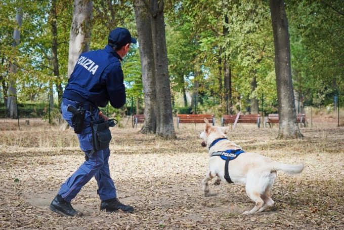 Cane-poliziotto scopre sacchetto di cocaina
