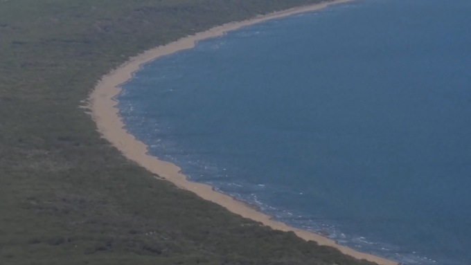 Laguna di Orbetello, morìa di pesci continua: lo Scirocco peggiora la situazione