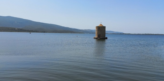 Moscerini a Orbetello, ordinanza per una nuova disinfestazione
