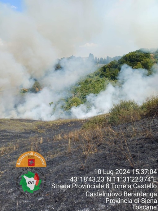 Incendi nel grossetano e nel senese: in fumo macchia mediterranea e olivi