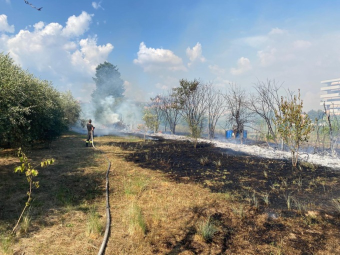 Incendio a Scandicci, fiamme in un campo vicino alle case: due vigili del fuoco si sentono male