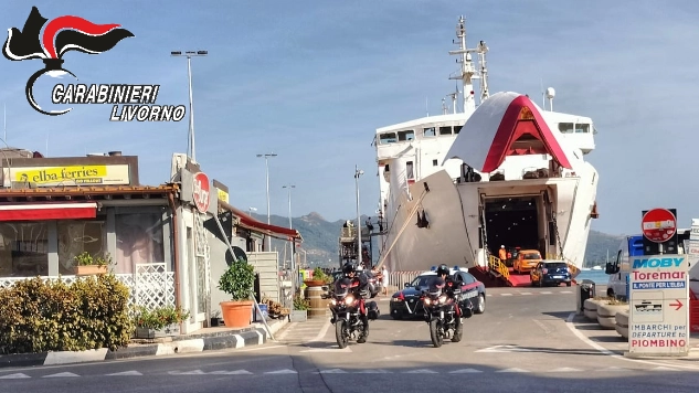 Elba, vasta operazione anti-droga: 4 arresti e 19 indagati