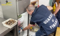 Carenze igienico-sanitarie e 800kg di cibo non sicuro: attività sospesa per tre ristoranti di Prato