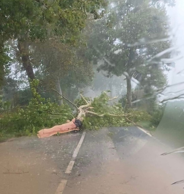 Maltempo, allagamenti e disagi. Bomba d’acqua e scuole chiuse a San Vincenzo