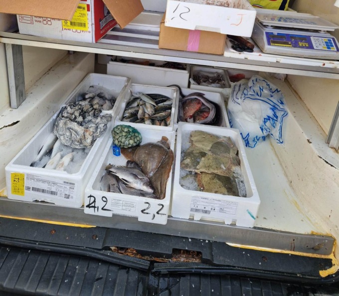 Il frigo era spento e dal furgone arrivava un forte odore di pesce: sequestrati 150kg di prodotti ittici a Prato