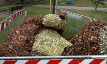 Natale a Pietrasanta, vandalizzato l'orso gigante che è stato rimosso