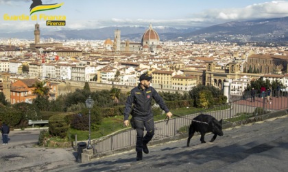 Firenze, scoperta "furbetta" del reddito di cittadinanza: sequestrati 27mila euro