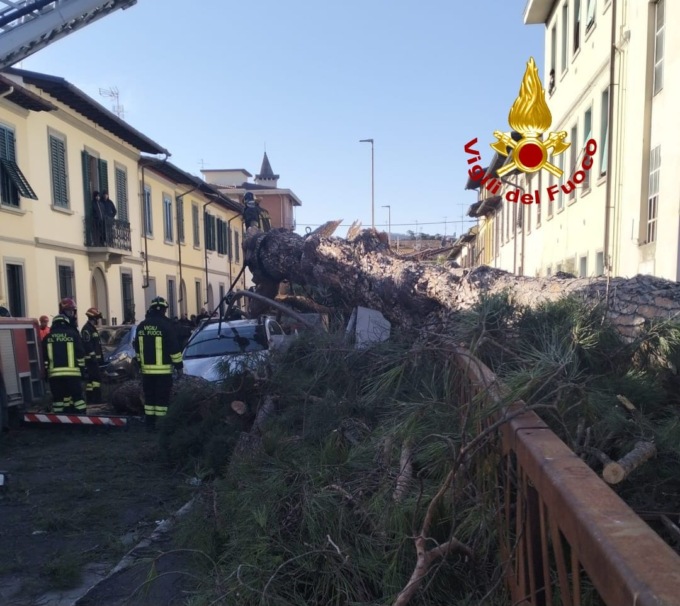 Scandicci, crolla un gigantesco pino nei giardini pubblici: paura ma nessun ferito