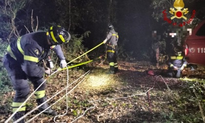 Cane cade in una cava: spettacolare salvataggio dei Vigili del Fuoco di Siena