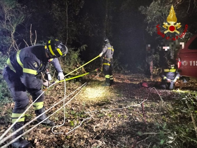 Cane cade in una cava: spettacolare salvataggio dei Vigili del Fuoco di Siena