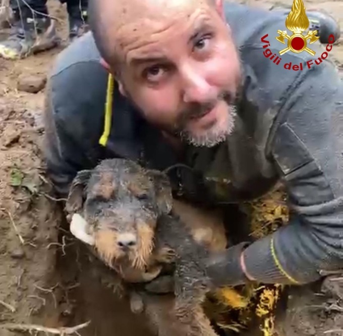 Cane da caccia precipita in una buca, lo salvano i vigili del fuoco