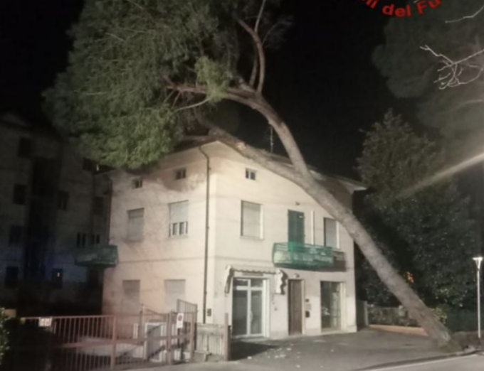 Maltempo Toscana, ancora codice giallo per vento: alberi caduti e danni alle linee elettriche
