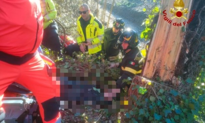 Tragedia sul lavoro a Pescia, operaio 59enne muore travolto da un albero