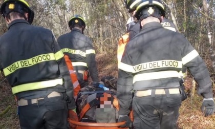 Casole d'Elsa, cacciatore cade in una zona impervia e resta bloccato nel bosco