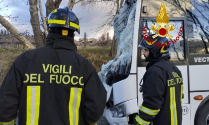 Paura a Rignano sull'Arno, albero cade su uno scuolabus