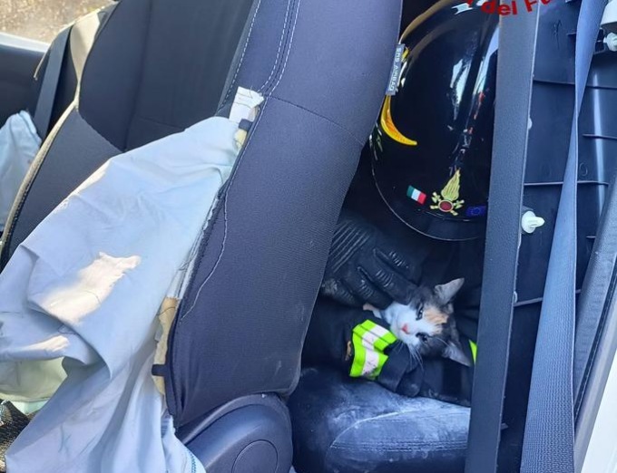 Incidente sull’A11 a Capannori, cinque veicoli coinvolti: soccorsi tre feriti e salvato un gatto