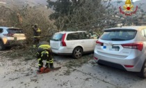 Vento forte, tutti gli interventi dei Vigili del Fuoco a Prato