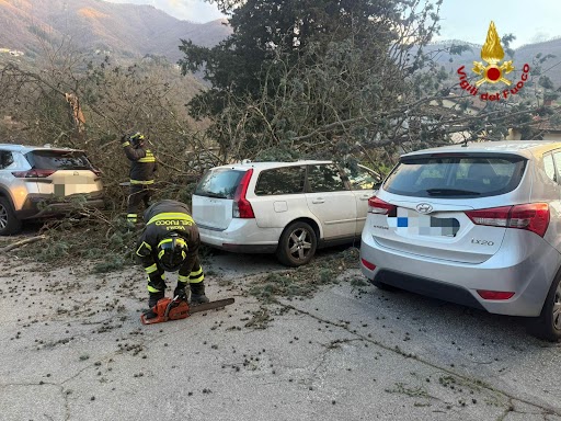 Vento forte, tutti gli interventi dei Vigili del Fuoco a Prato