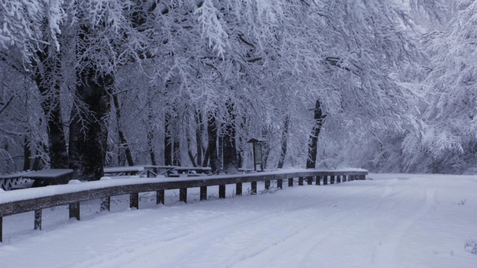 Meteo in Toscana, arriva la neve
