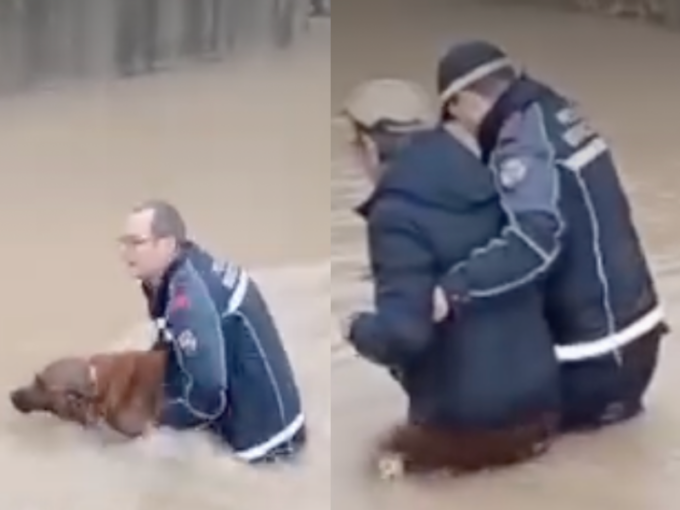 Cecina, con l’auto nel sottopassaggio allagato: anziano e cane salvati da due agenti