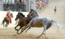 Palio di Siena, otto condanne per la rissa del 2018