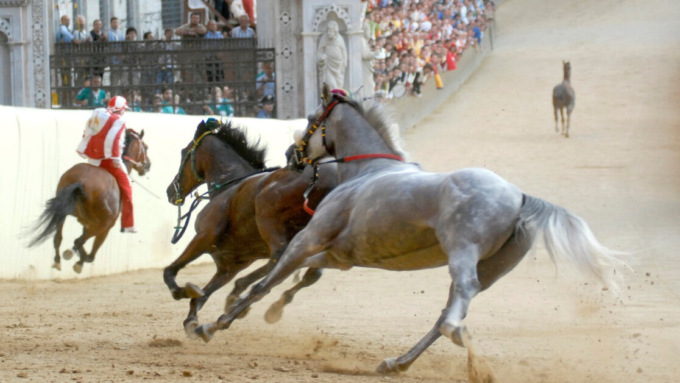 Palio di Siena, otto condanne per la rissa del 2018