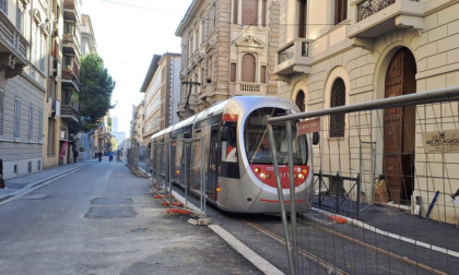 Firenze, alberi da abbattere per il tram