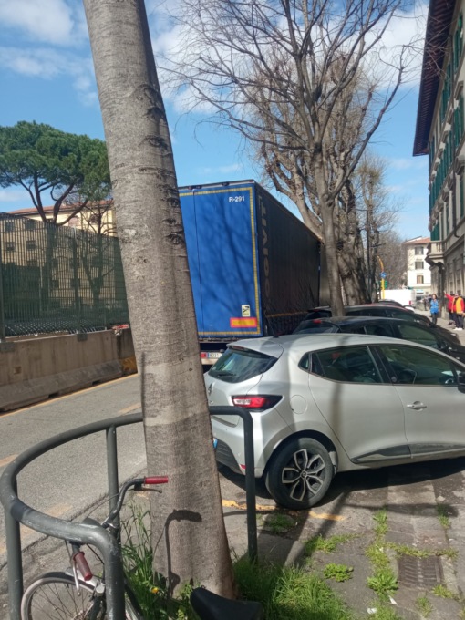 Caos a Firenze: autista sbaglia strada e si incastra tra gli alberi in viale Giannotti