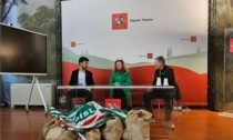 10.000 cartoline per cancellare l'aumento Irpef