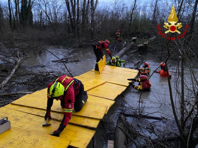 Arezzo, ottanta asini in balìa dell’Arno: tutti salvati dai Vigili del Fuoco