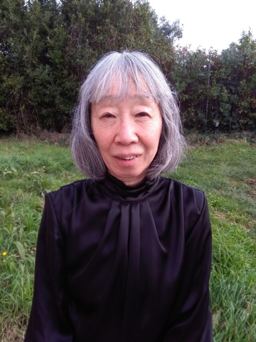 Giappone conferisce onorificenza a docente Università Firenze