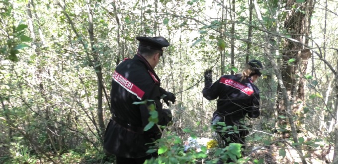 Siena, spaccio nei boschi: tre arresti e tre denunce nell’operazione Rastrello