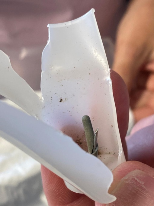 Firenze, bambini si pungono con un ago nel giardino di scuola. I genitori: “Abbiamo presentato un esposto. Non deve accadere”