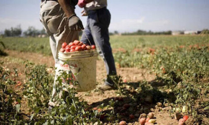 Firenze, presidio davanti alla Prefettura per dire “Stop al caporalato in agricoltura”